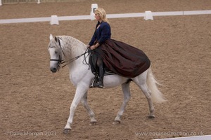 Lusitano Breed Society of Great Britain Show - Hartpury College - 27th June 2009